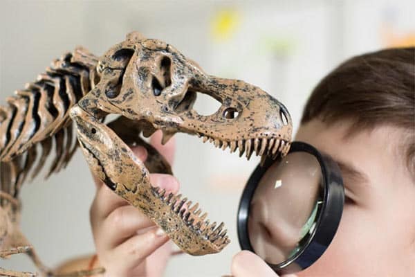 paleontologos paleontologos