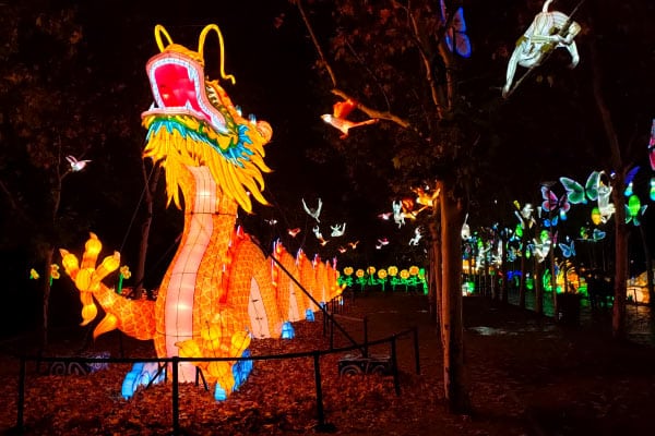 Inauguración de las Mágicas Navidades de Torrejón: Comienza el Esplendor Navideño en el Parque de la Navidad de España 4 festival linternas asiaticas