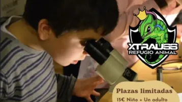 taller-de-microscopio