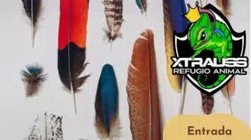 taller-de-plumas