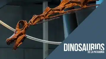 huellas-patagotitan