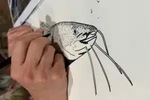 ilustracion cientifica
