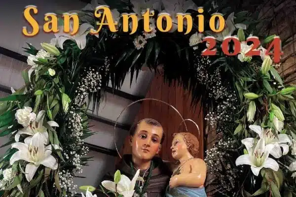 fiestas de san antonio 2024 de navas del rey jpg