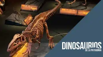 jurassic-camp
