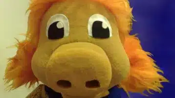 cerditos