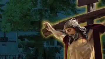 fiestas-de-navas-del-rey-2024