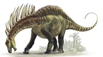 taller-de-ilustracion-cientifica-los-dinosaurios-de-la-patagonia