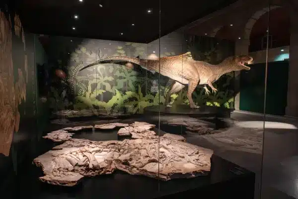 cazando-dragones