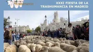 fiesta-de-la-trashumancia-2024