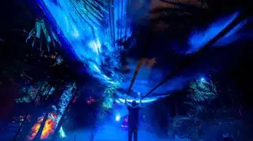 naturaleza-encendida