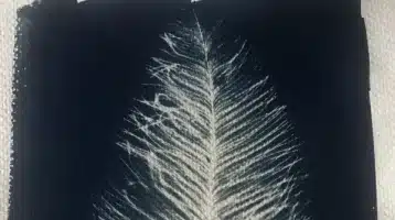 arboles-de-navidad-de-cuento-un-taller-de-cianotipia