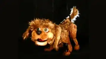 fofi-el-cachorro