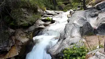 boca-del-asno