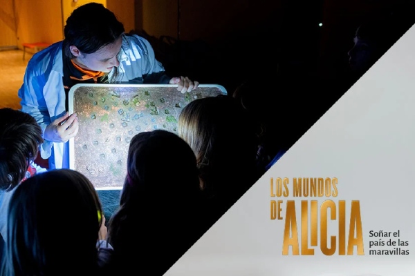 visita-taller-en-familia-buscando-a-alicia visita-taller-en-familia-buscando-a-alicia