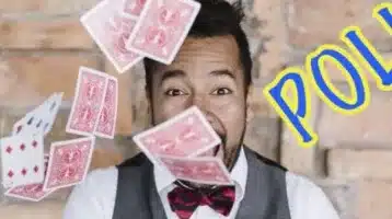 pollo