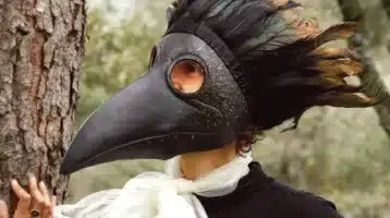 animaladas