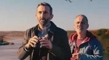 pajaros