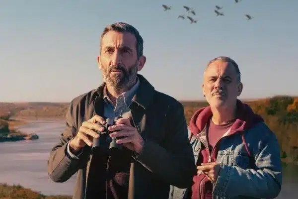 pajaros