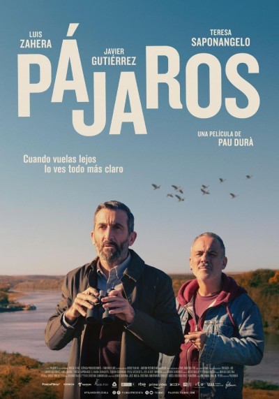 pajaros pajaros