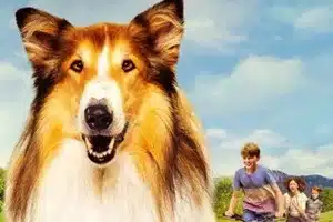 Lassie. Una nueva aventura en el Parque Begoña (Fuencarral – El Pardo) 8 1 18