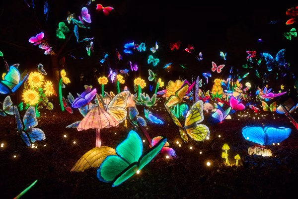 linternas-de-asia-magicas-navidades