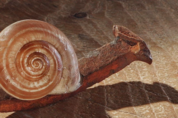 Caminos en la Sala Tarambana 7 caminos