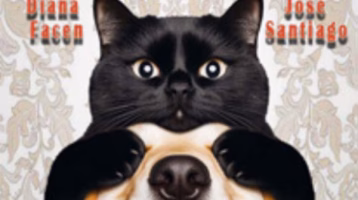 el-amor-del-gato-y-del-perro