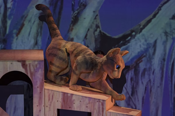 la-gata-que-queria-cambiar-la-historia