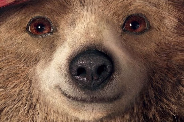 paddington