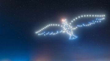 espectaculo-de-drones-naturaleza-salvaje