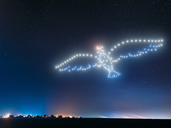 espectaculo de drones naturaleza salvaje