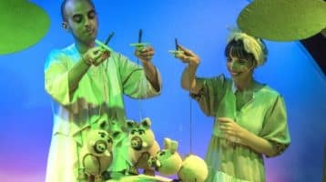 jajile-el-cerdito-verdeazul