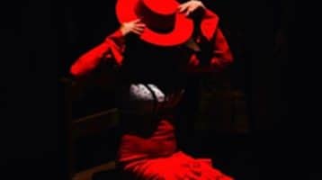 del-flamenco-al-cielo