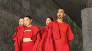 un-baile-ceibe
