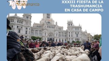 fiesta-de-la-trashumancia-2026